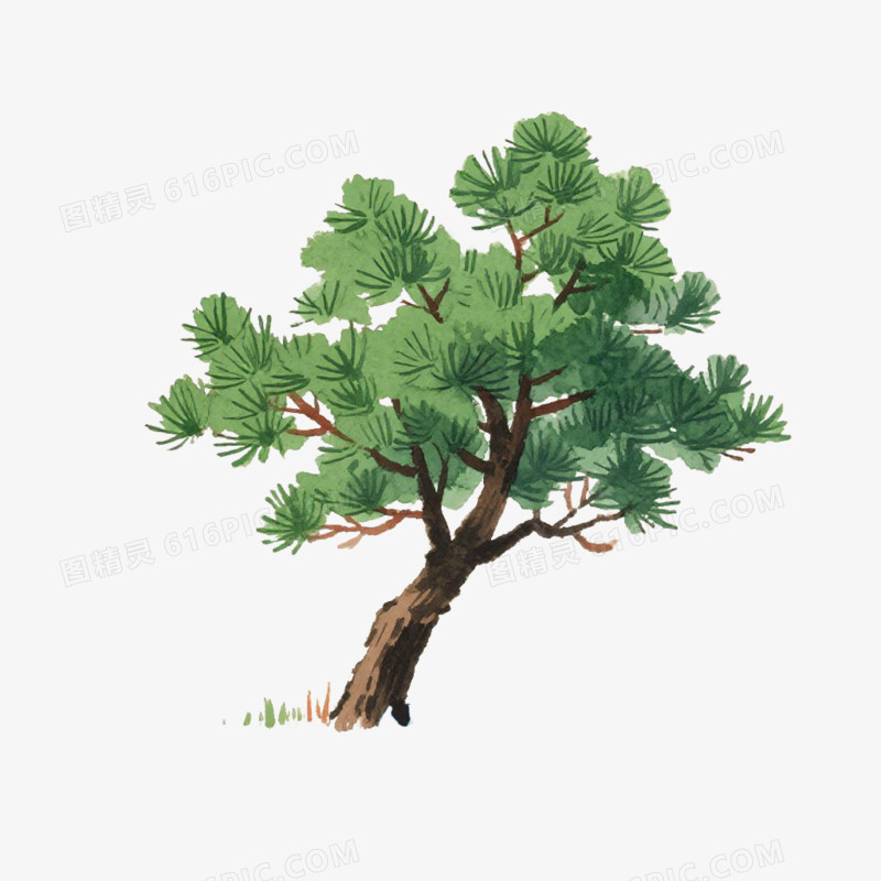 卡通插画风树松树免抠元素