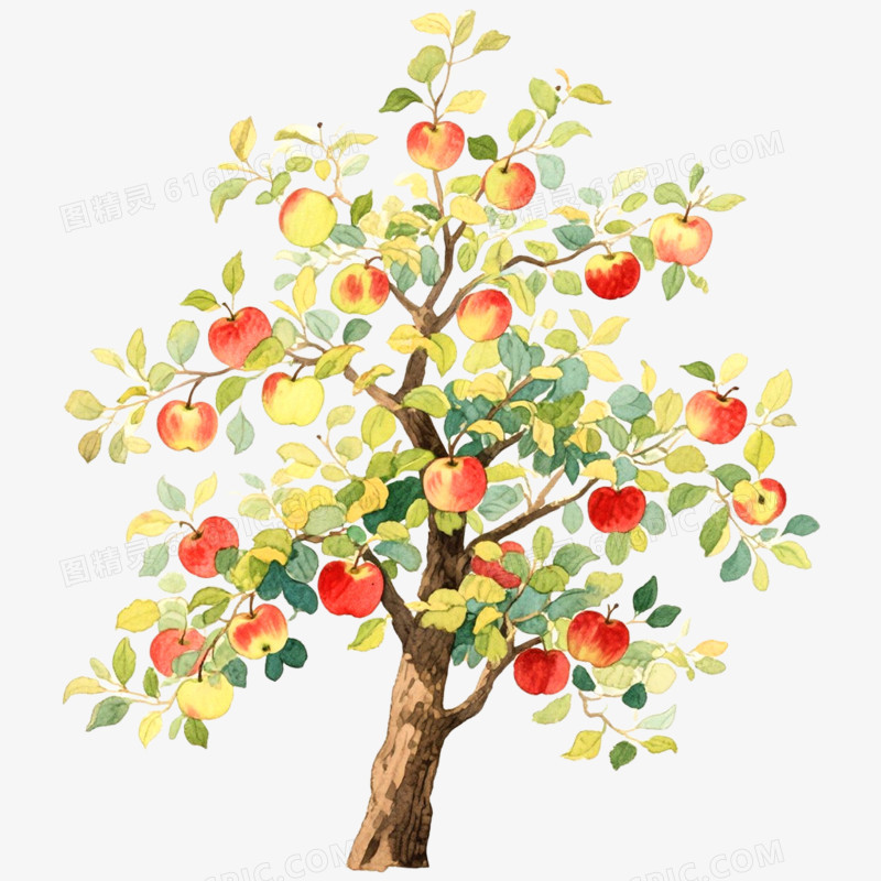 手绘插画果树苹果树免抠元素
