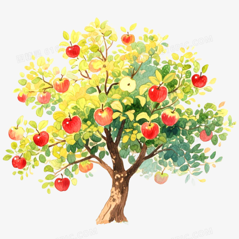 手绘插画果树苹果树免抠元素