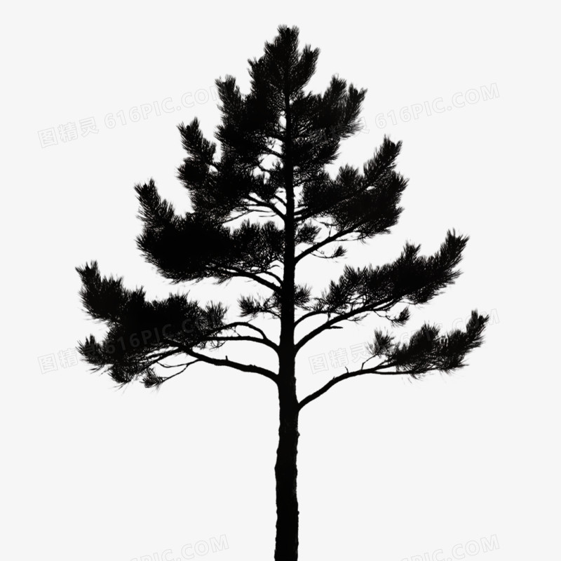 各类树的卡通画免抠元素