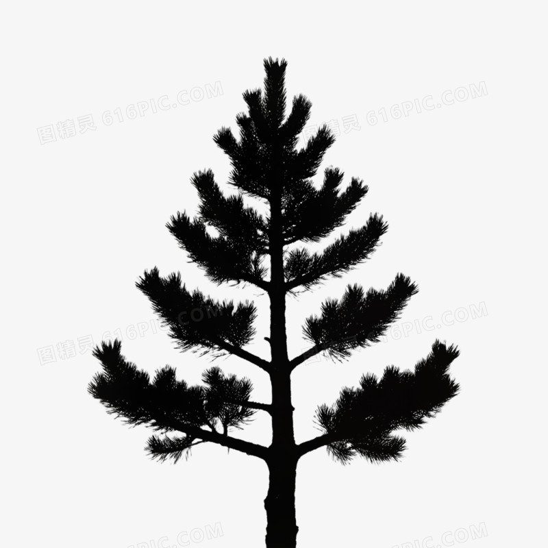 各类树的卡通画免抠元素