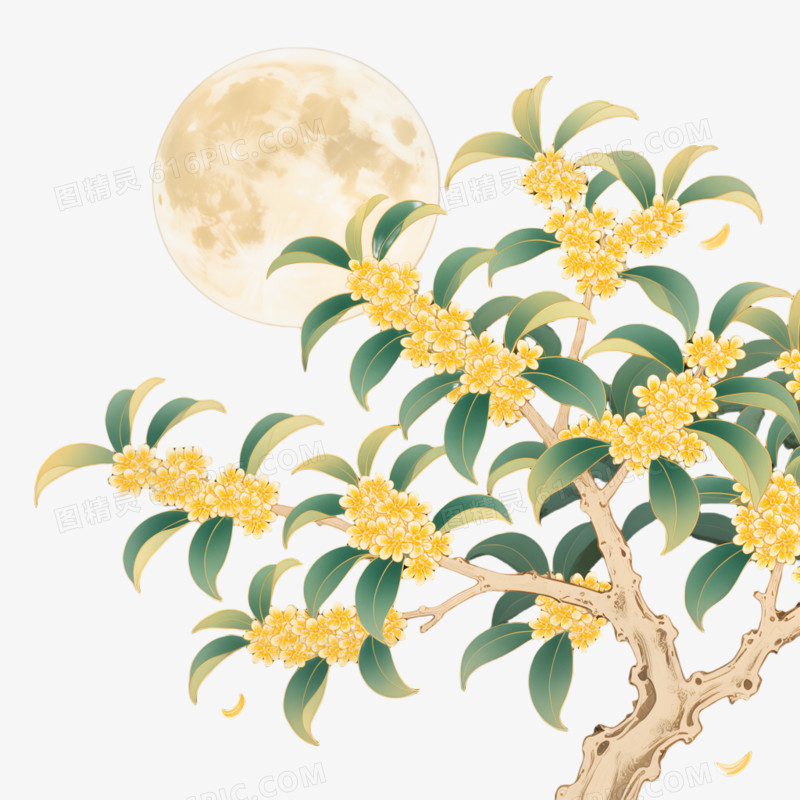 中秋节桂花树免抠元素