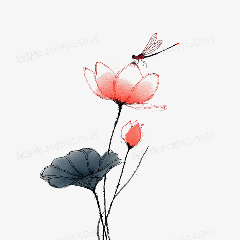 手绘卡古风简笔画荷花免抠元素