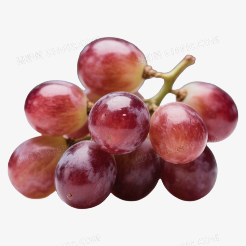 提子秋天的热门水果蔬菜免抠元素
