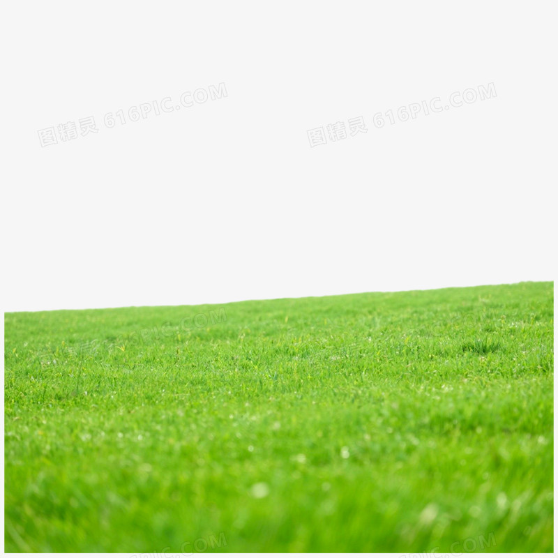 摄影实拍蒙古草原免抠元素