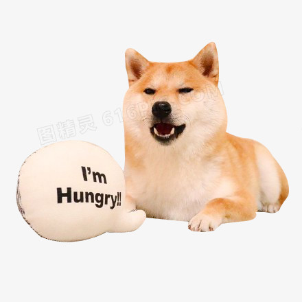 饥饿的狗狗