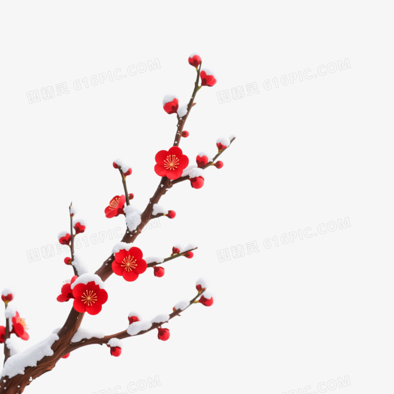 3D插画风格梅花枝免抠元素