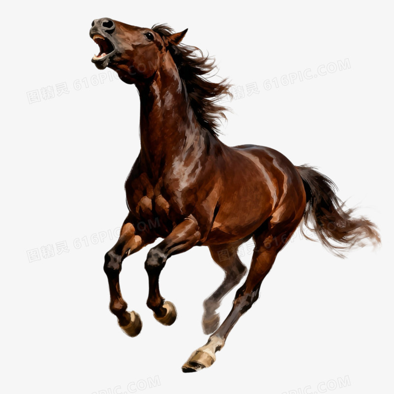 动物马形象免抠元素