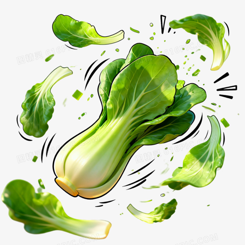 简约风青菜实物免抠元素