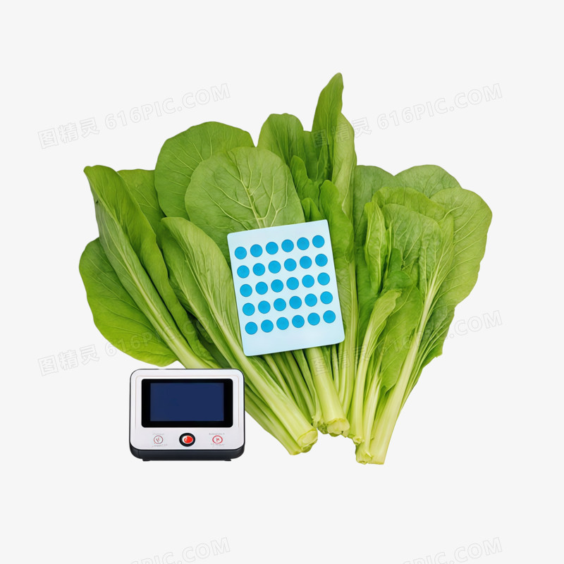 食品食物安全ai免抠元素
