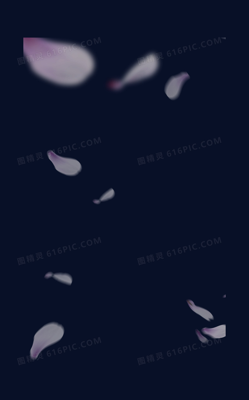 飘飘 花瓣