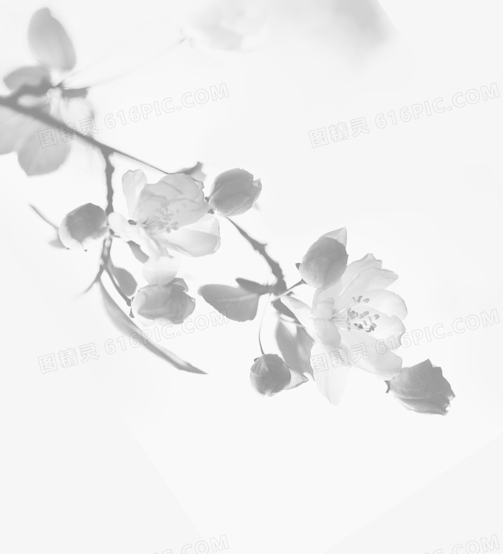 中国画