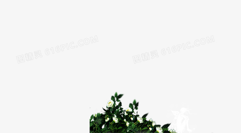 树枝