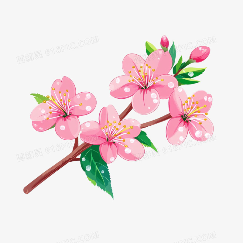 卡通手绘立春春天桃花免抠元素