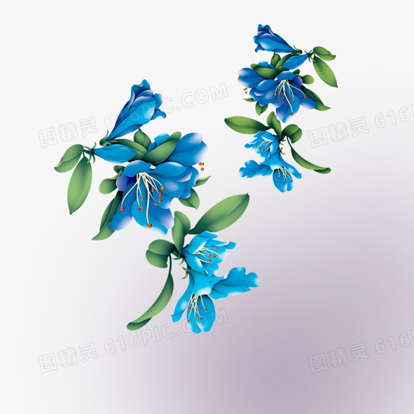 桂花