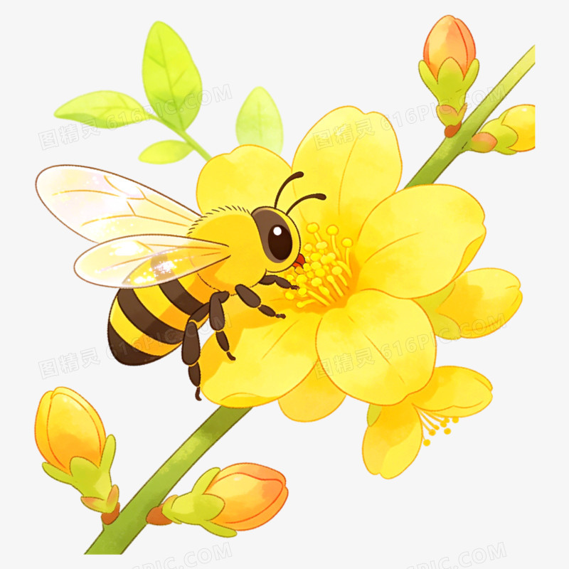 卡通手绘小清新春天密封采蜜免抠元素