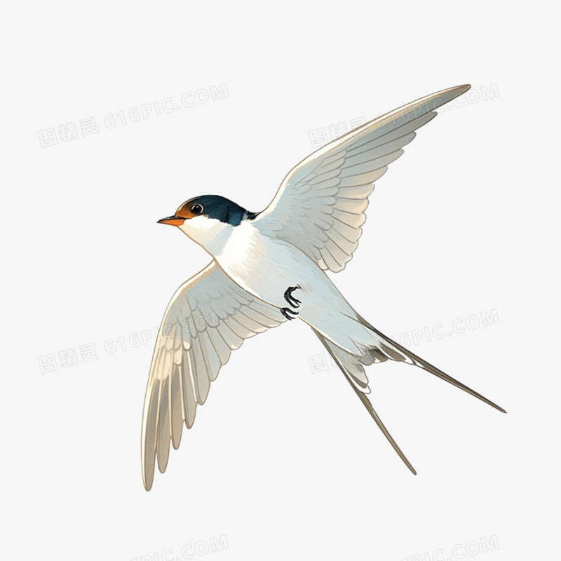 卡通燕子春天免抠元素