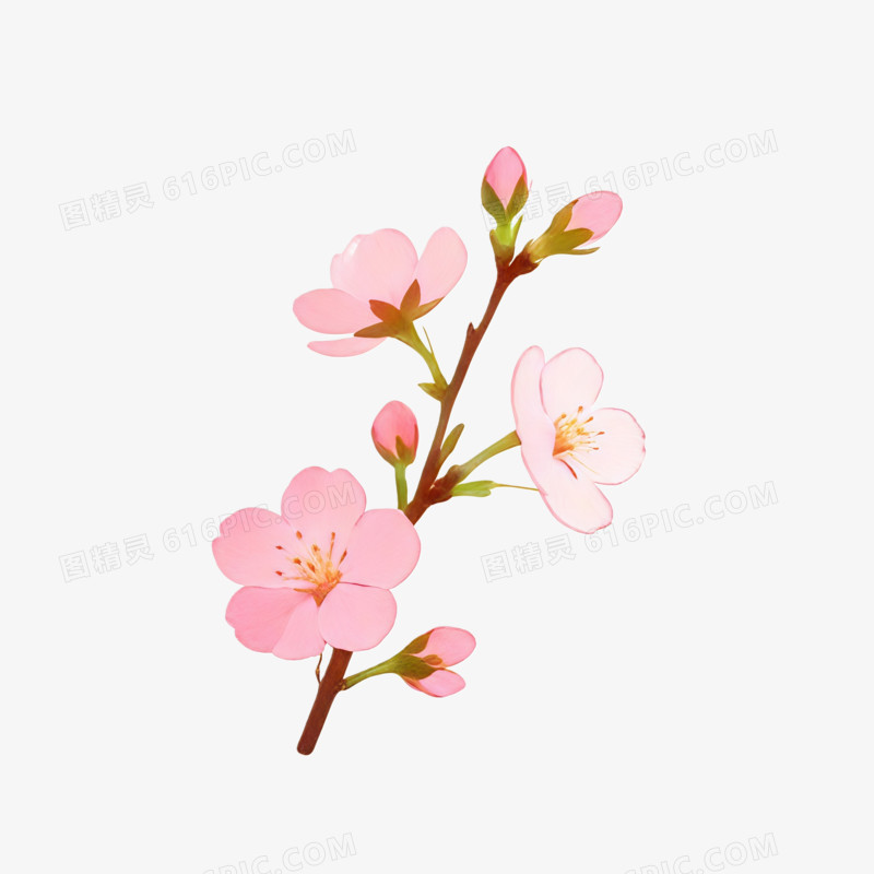 立春时节桃花树枝ai免抠元素