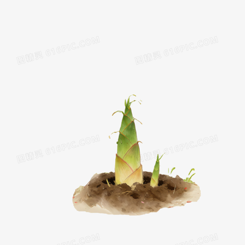 立春时节春天春笋ai免抠元素