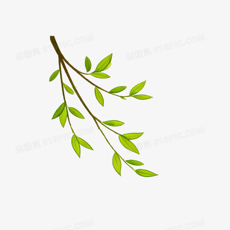 立春时节绿色树枝ai免抠元素