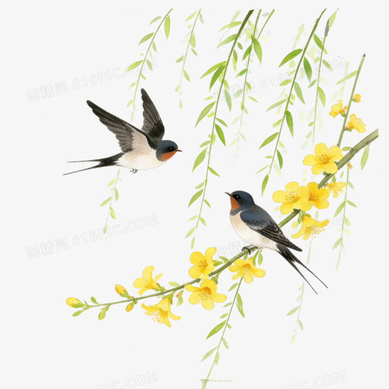 立春时节春天燕子杨柳免抠元素