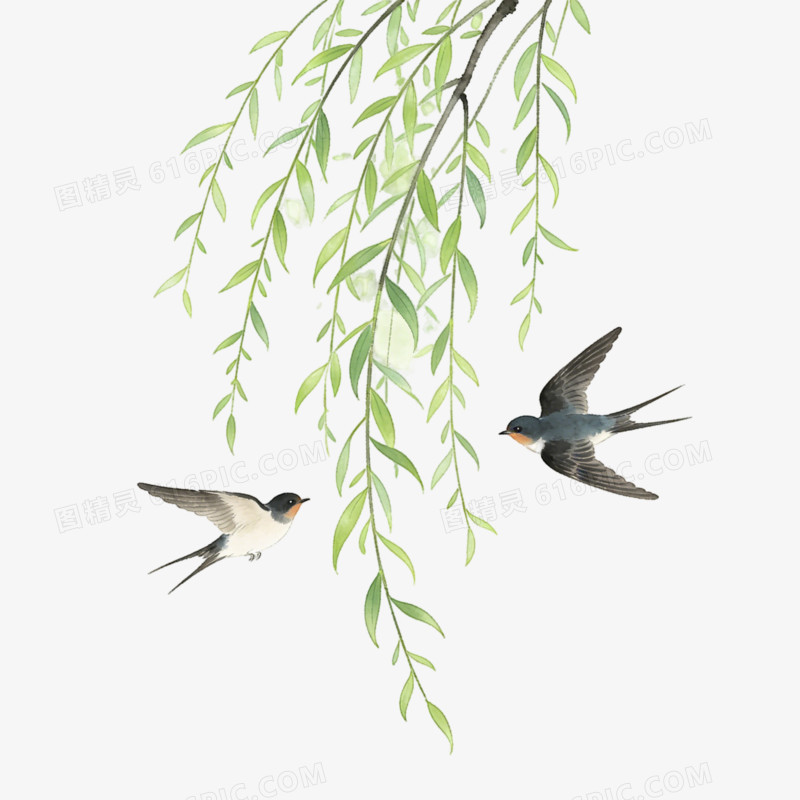 立春时节柳枝燕子ai免抠元素