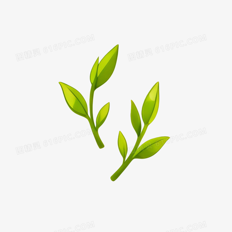 立春时节两只绿色新枝ai免抠元素