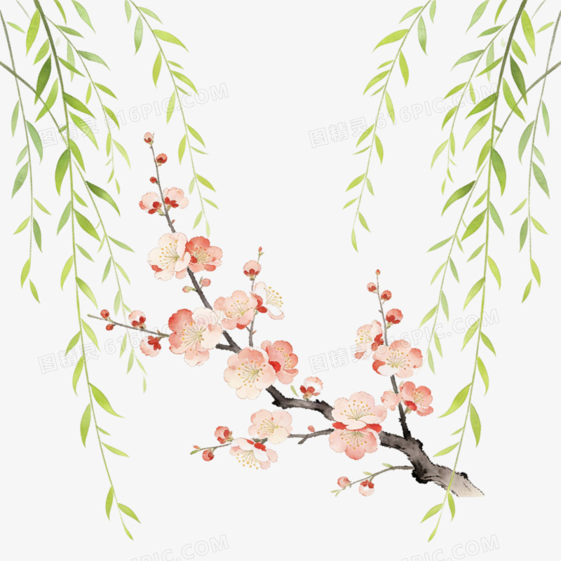 立春时节杨柳树枝ai免抠元素