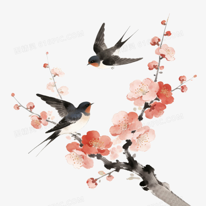 立春时节枝头燕子ai免抠元素