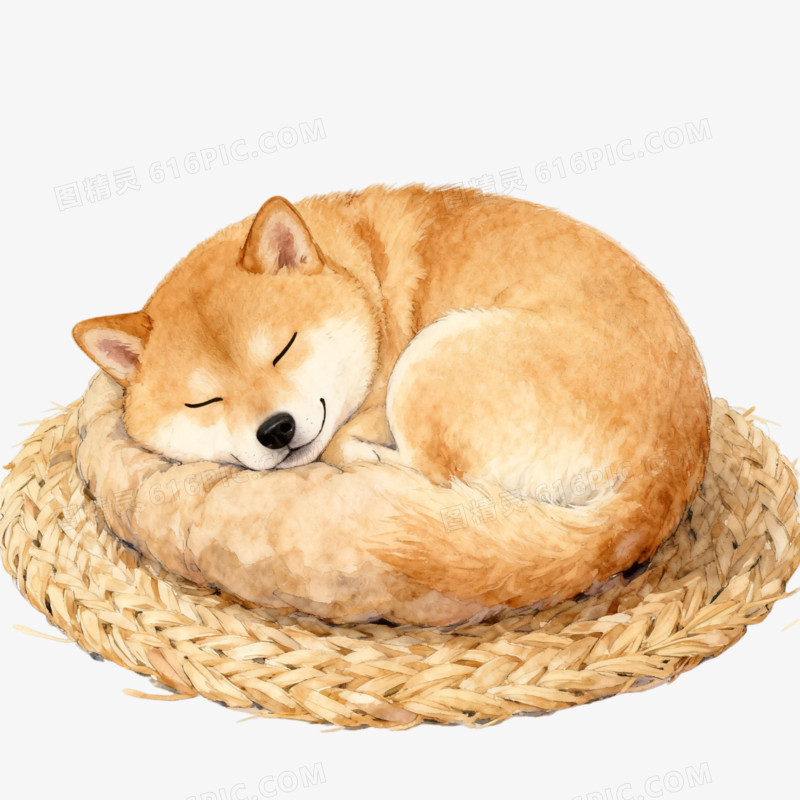 熟睡的狗狗ai免抠元素