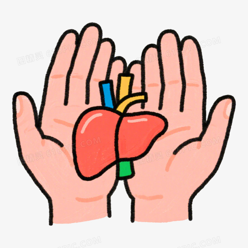 掌中肝脏护肝全国爱肝日免抠元素