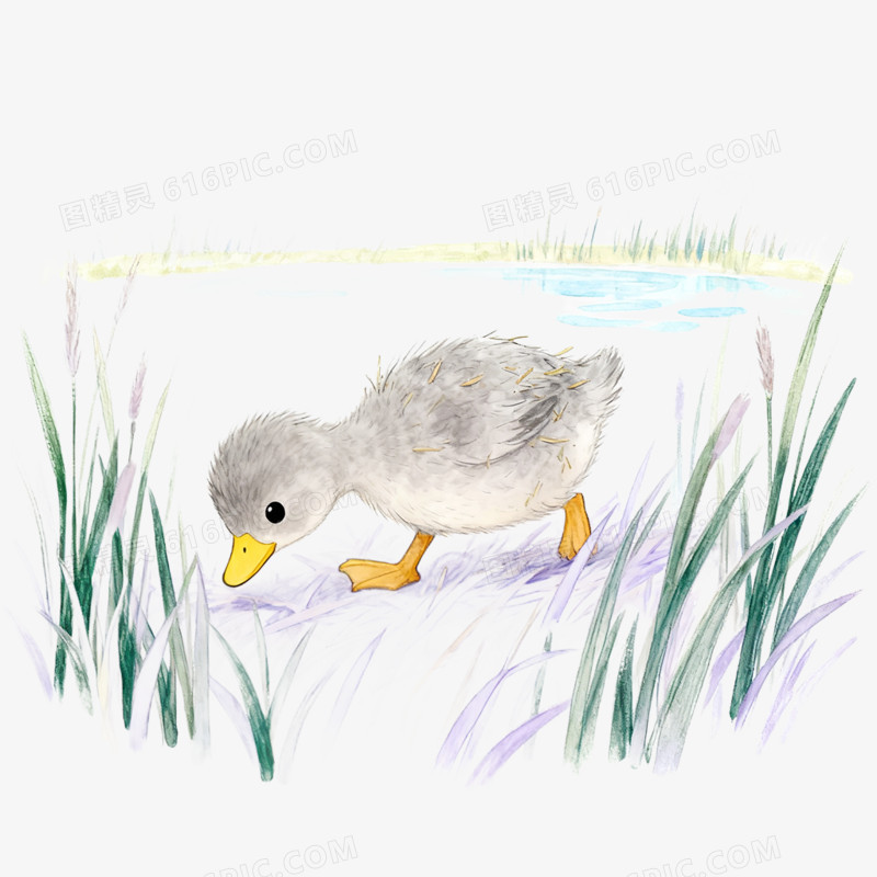 卡通手绘童话故事丑小鸭免抠元素