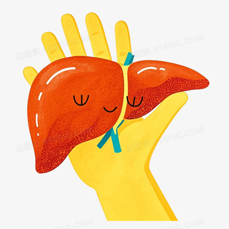 全国爱肝日卡通免抠元素