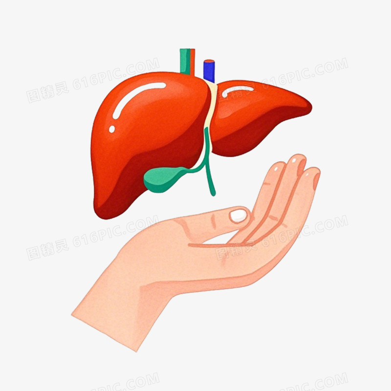 全国爱肝日卡通免抠元素
