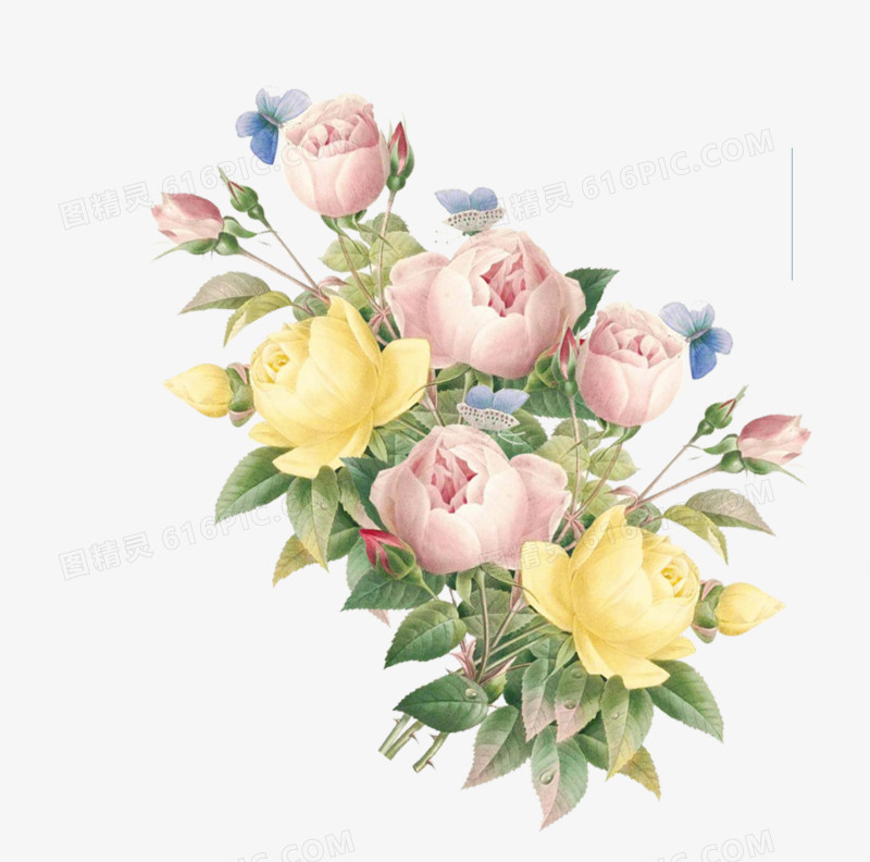 花瓣