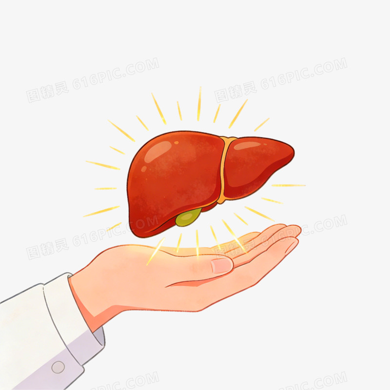 手绘插画风格全国爱肝日素材免抠元素