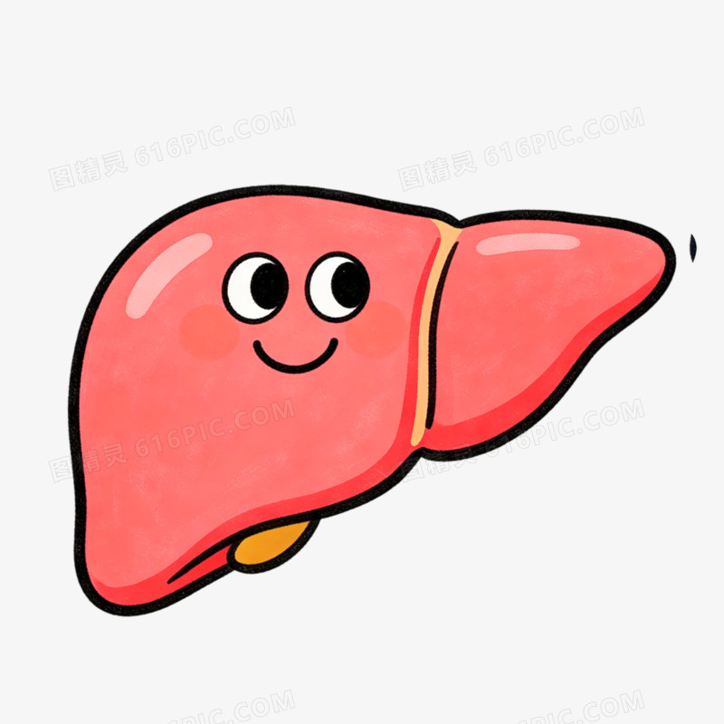 手绘插画风格全国爱肝日素材免抠元素