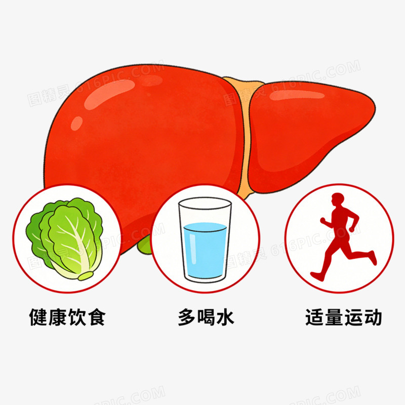 手绘插画风格全国爱肝日素材免抠元素