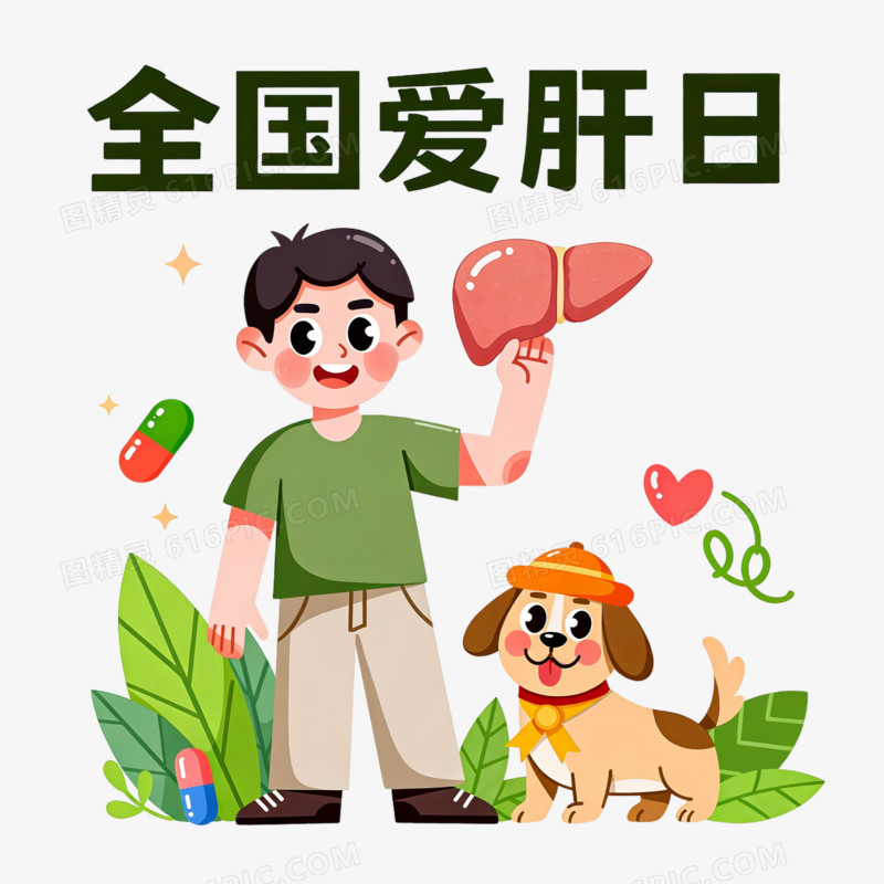 卡通手绘全国爱肝日免抠元素图片免费下载_PNG素材_编号1yqi6mmmx_图精灵