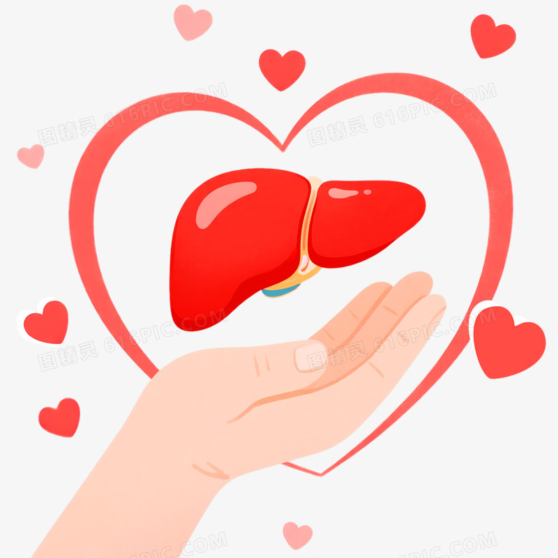 卡通手绘全国爱肝日免抠素材