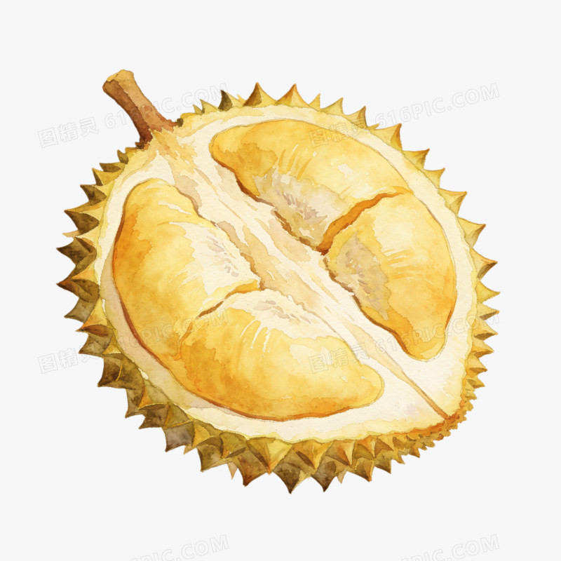 饱满的榴莲水果ai免抠元素