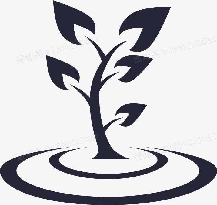 种植地点