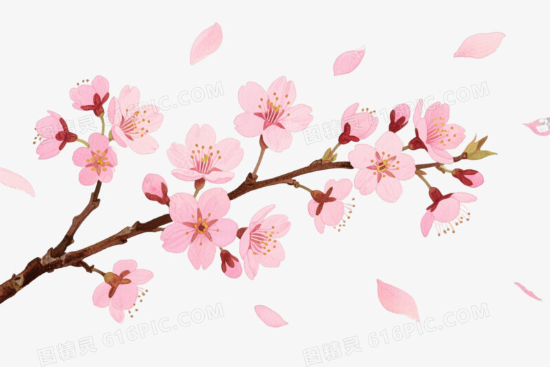 粉色樱花枝卡通手绘元素
