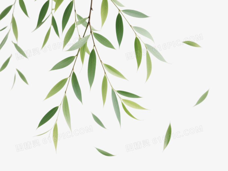 绿色柳叶飘落漂浮元素