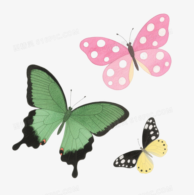 彩色蝴蝶卡通手绘元素