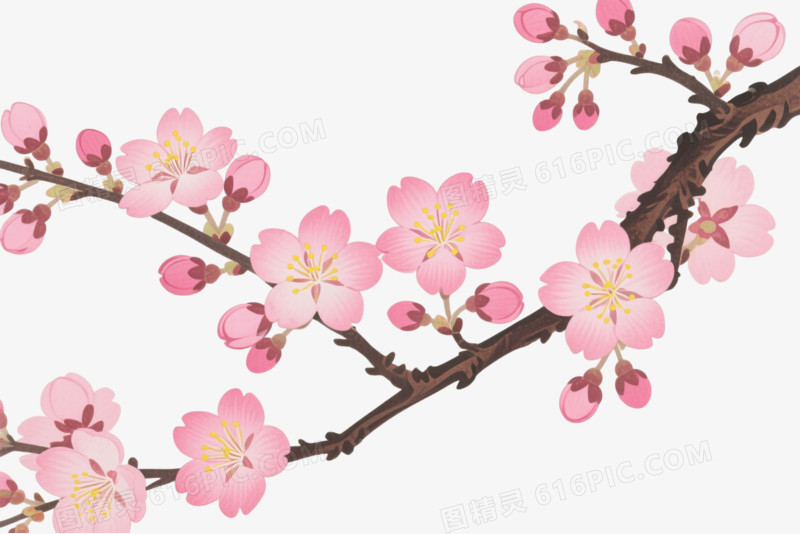 粉色樱花枝卡通手绘元素