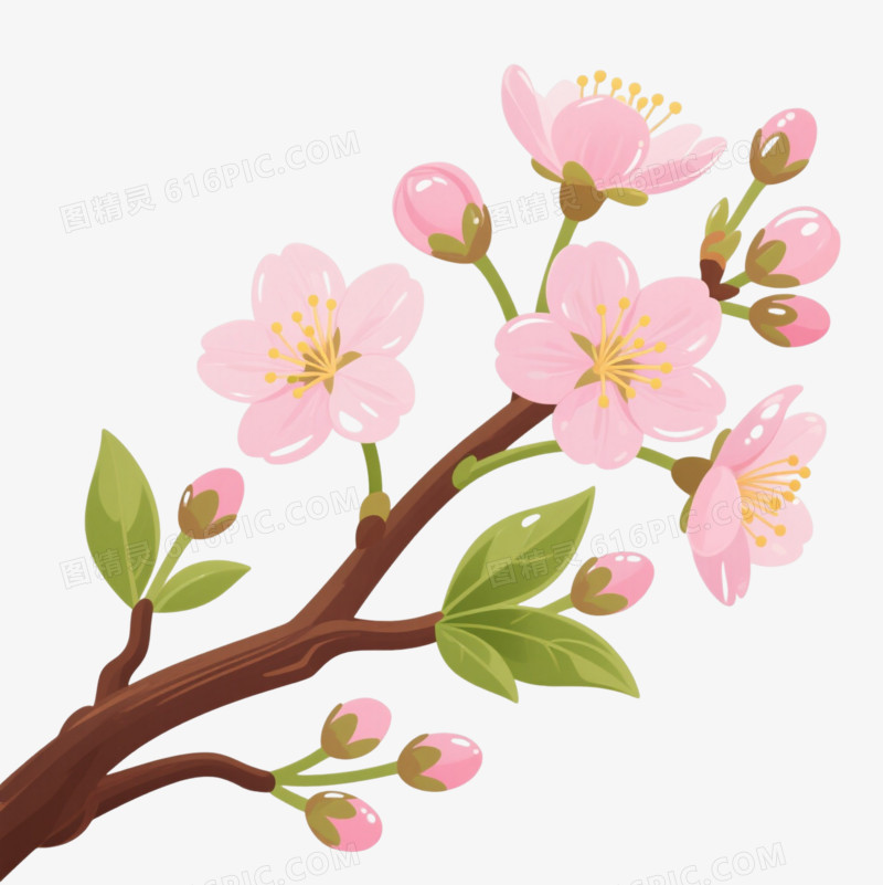粉色樱花枝装饰图案