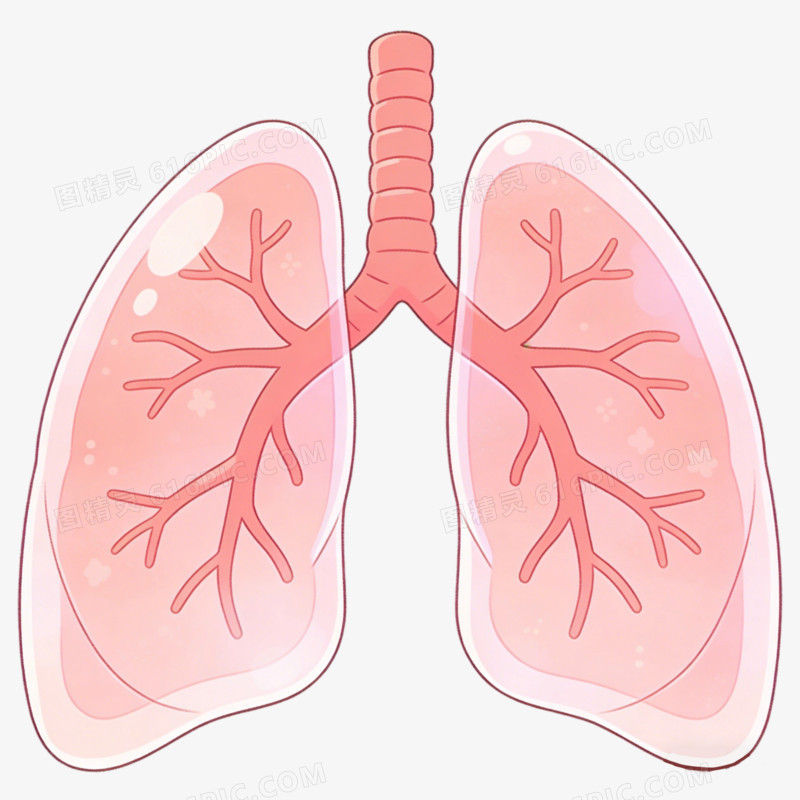 肺部粉色插图ai免抠元素