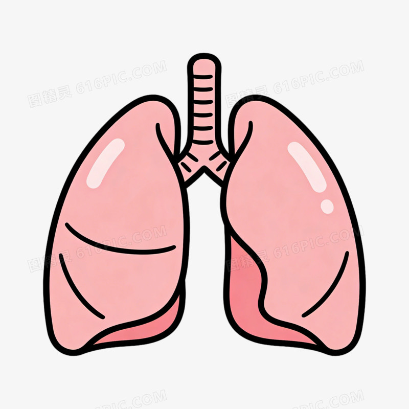 肺部粉色的插图ai免抠元素
