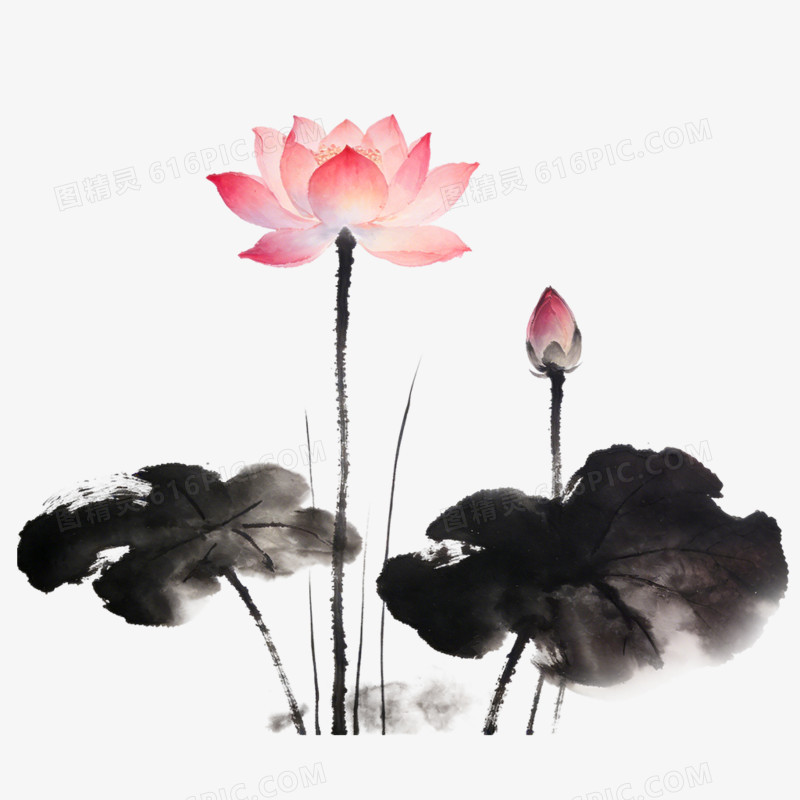 水墨风花卉古诗词配图素材免抠元素